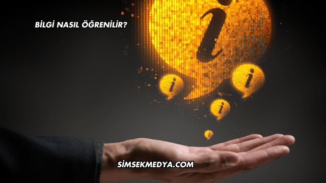Bilgi Nasıl Öğrenilir?