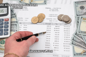 Blog Açarak Dolar Kazanma Yolları