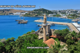 Bodrum'un En Güzel Sokakları