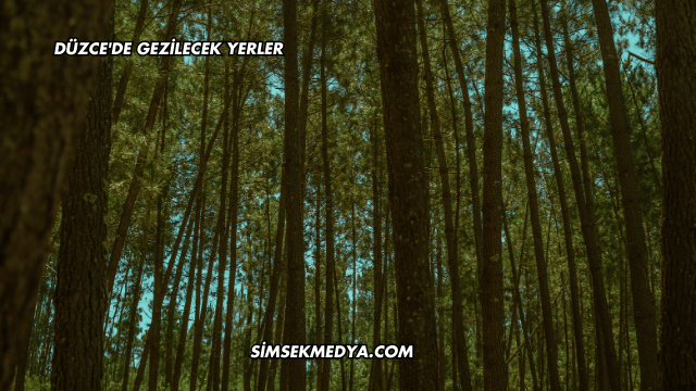 Düzce'de Gezilecek Yerler