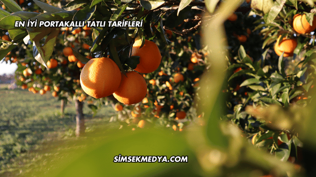 En İyi Portakallı Tatlı Tarifleri