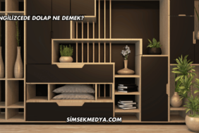 İngilizcede Dolap Ne Demek?