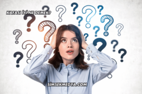 Kafası İyi Ne Demek?