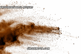 Kahverengi Nasıl Oluşur?