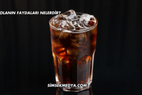 Kolanın Faydaları Nelerdir?