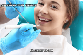 Ardahan En İyi Diş Hekimleri
