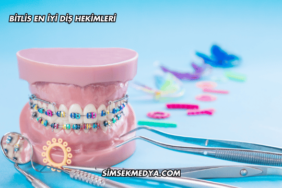 Bitlis En İyi Diş Hekimleri