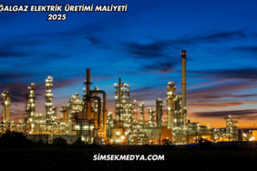 Doğalgaz Elektrik Üretimi Maliyeti 2025