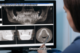 Gümüşhane En İyi Diş Hekimleri