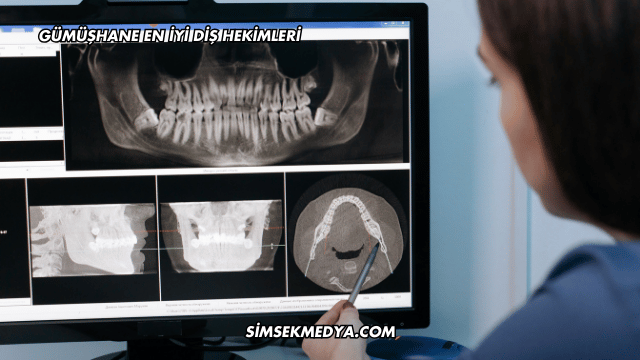 Gümüşhane En İyi Diş Hekimleri