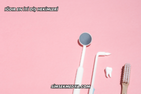 Iğdır En İyi Diş Hekimleri