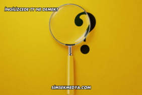 İngilizcede TY Ne Demek?