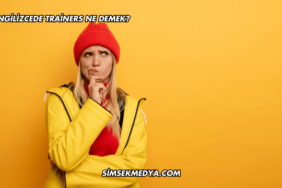 İngilizcede Trainers Ne Demek?