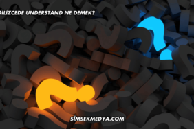 İngilizcede Understand Ne Demek?