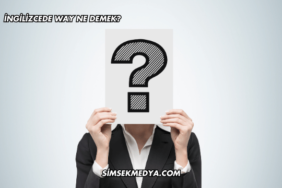 İngilizcede Way Ne Demek?