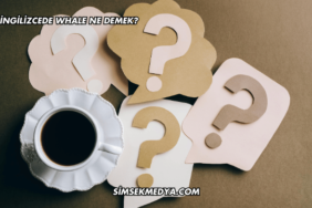 İngilizcede Whale Ne Demek?