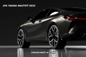LPG Takma Maliyeti 2025
