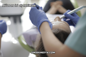 Niğde En İyi Diş Hekimleri